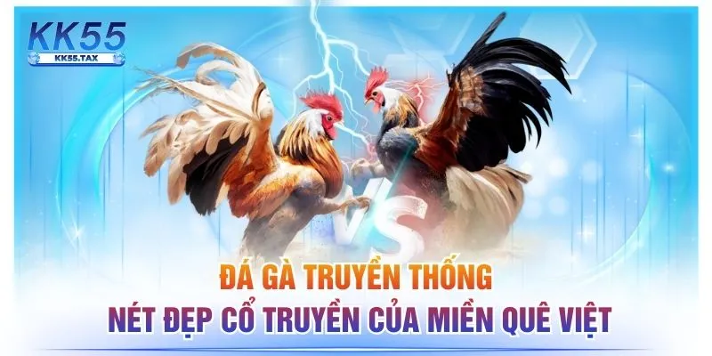 Đá Gà Truyền Thống - Nét Đẹp Cổ Truyền Của Miền Quê Việt