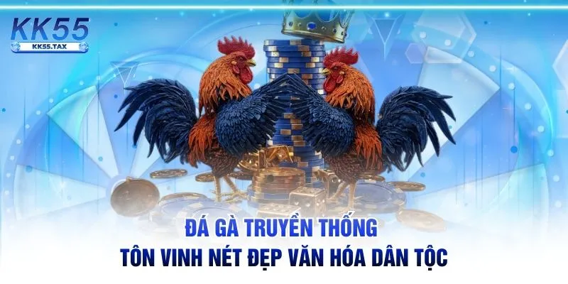 Đá gà truyền thống tôn vinh nét đẹp văn hóa dân tộc
