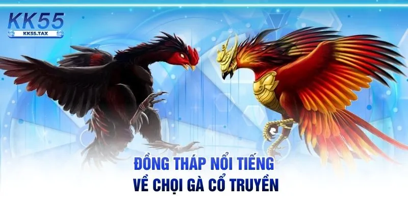 Đồng Tháp nổi tiếng về chọi gà cổ truyền