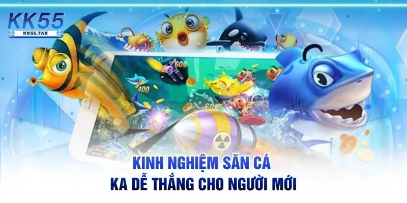 Kinh nghiệm săn cá KA dễ thắng cho người mới